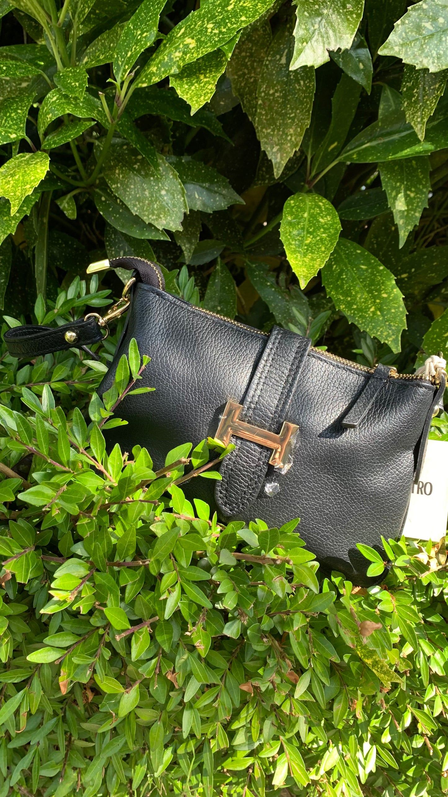 Tas Harly