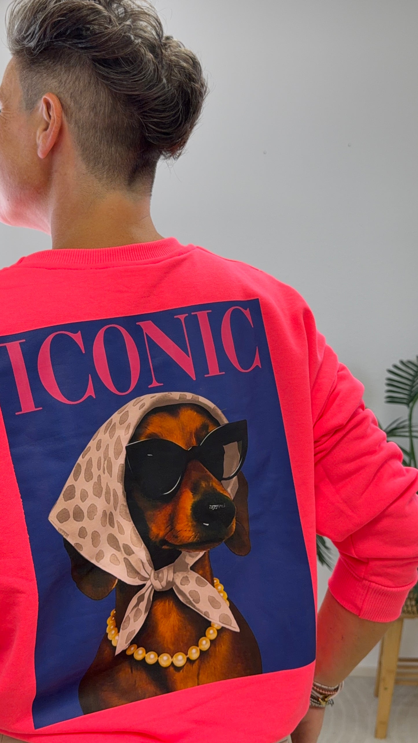 sweater ICONIC doggie