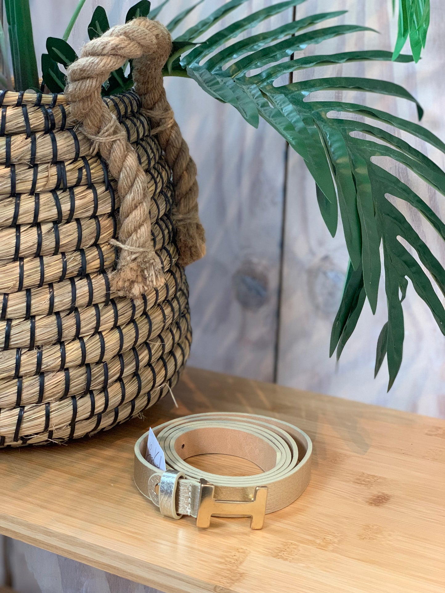 Riem H Breed